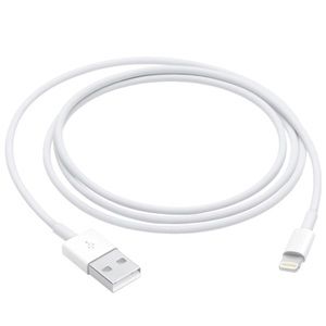 Apple Lightning to USB Cable (1 m)